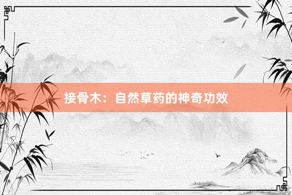接骨木:自然草药的神奇功效